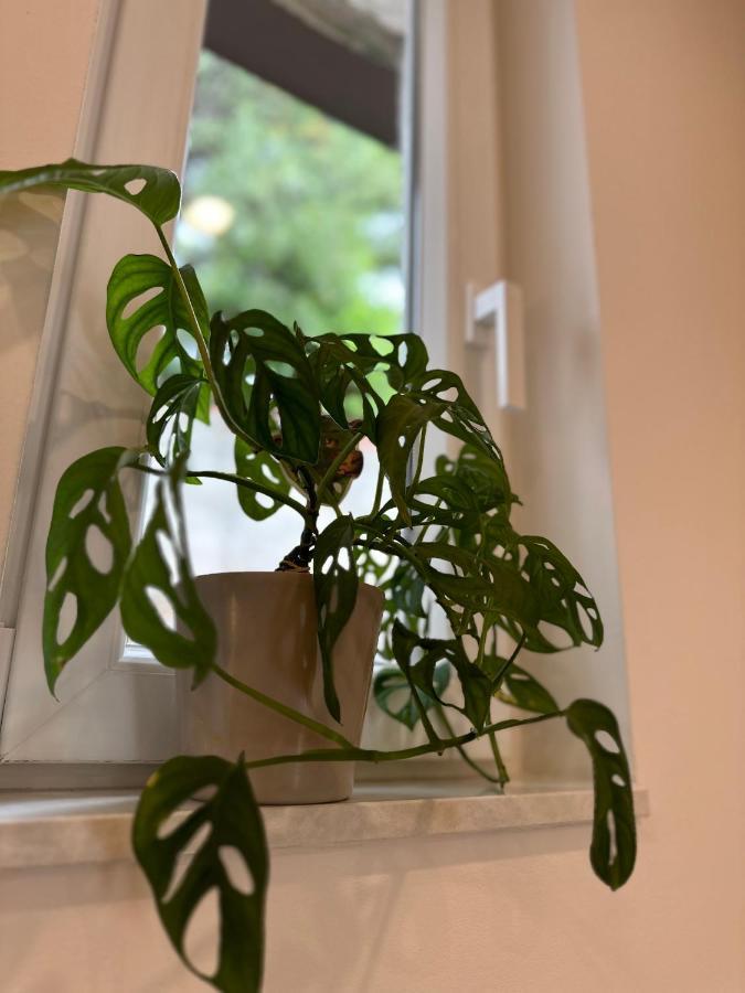 Olive View Apartment بريلا المظهر الخارجي الصورة