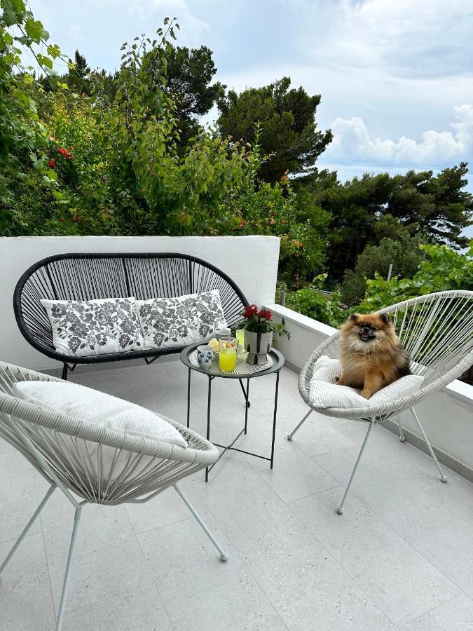 Olive View Apartment بريلا المظهر الخارجي الصورة